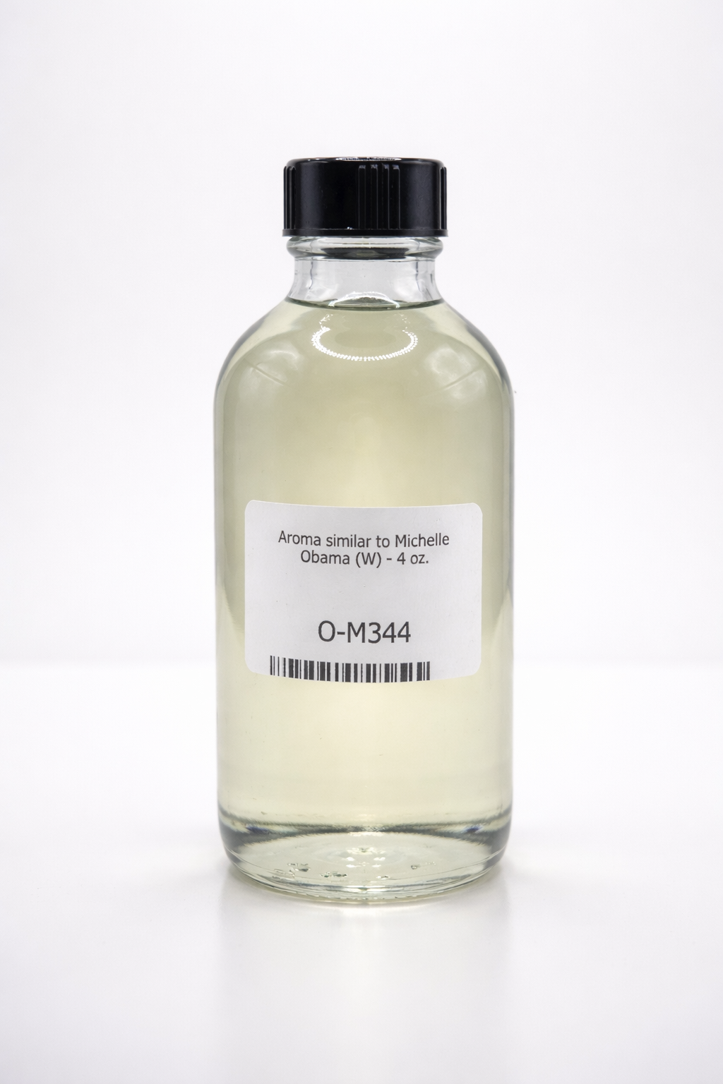 Our Version Of Michelle Obama